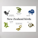Suche nach new zealand poster Maori