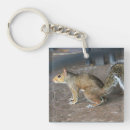 Suche nach rotes eichhörnchen schlüsselanhänger Natur