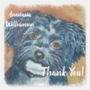 Suche nach havanese Aquarell