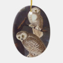 Suche nach schneeeule ornamente Natur