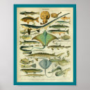 Suche nach stingray kunst Fische