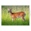 Suche nach weißer hirsch karten Papa