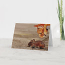 Suche nach unsichtbar postkarten Liebe