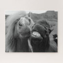Suche nach lustiges pferd puzzle Natur