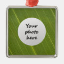 Suche nach grünes blatt ornamente Palme