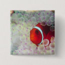 Suche nach taucher buttons Tauchen