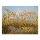 Suche nach dünen poster Küsten