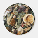 Suche nach muscheln magnete Für alle