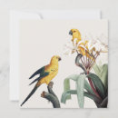 Suche nach exotischer vogel karten Kakadu