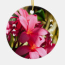 Suche nach plumeria ornamente Tropisch