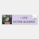 Suche nach easter autoaufkleber Vogelvogel