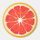 Suche nach citrus magnete Obst
