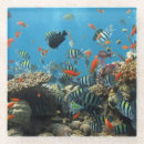 Suche nach fisch untersetzer Goldfisch