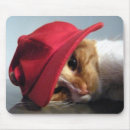Suche nach orange und weiße katze mousepads Kätzchen