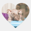 Suche nach lustige ratte aufkleber Hamster