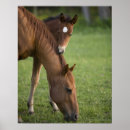 Suche nach tierfamilie poster Tag