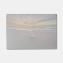 Suche nach muschel post it Ozean