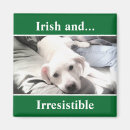 Suche nach labrador magnete Lustig