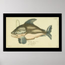 Suche nach zoologie poster Säugetiere