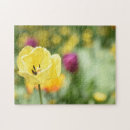 Suche nach gelbe blumen puzzle Tulpe