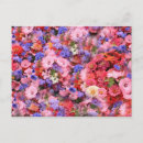 Suche nach bündel postkarten Violett