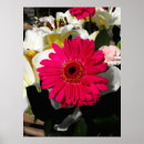 Suche nach gerbera poster Blume