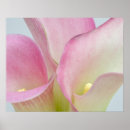 Suche nach buntes leben poster Blume