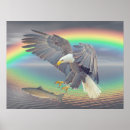 Suche nach bunter adler poster Abstrakt