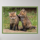 Suche nach brüder poster Schwester