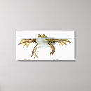 Suche nach frösche leinwandbilder Horizontal