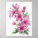 Suche nach orientalische lilie poster Blume