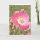 Suche nach rosa mohnblume karten Blumen