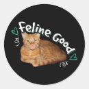 Suche nach kitesurfen aufkleber Katze