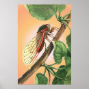 Suche nach insect poster Insekten