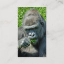 Suche nach primat visitenkarten Wildtiere