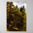 Suche nach lärche poster Leinen