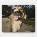 Suche nach glücklicher hund mousepads Haustiere