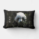 Suche nach pandabär kissen Für alle