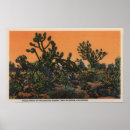 Suche nach yucca California