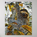 Suche nach sloth poster Bild