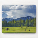 Suche nach das gras mousepads Pferd