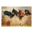 Suche nach vintage frösche poster Tiere