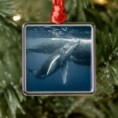 Suche nach niedlicher wal ornamente Meer