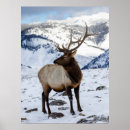 Suche nach einsam poster Winter