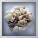 Suche nach kieser poster Farbig