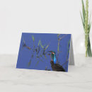 Suche nach eisvogel karten Jede person