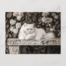 Suche nach blumenmalereien postkarten Jede person