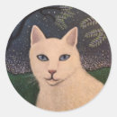 Suche nach rambo Katze