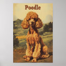 Suche nach pudel poster Hund