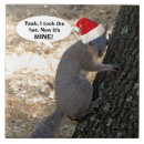 Suche nach eichhörnchen fliesen Tiere